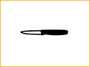 Capehart 3.5" Paring Knife